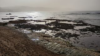 GC-Paseo Las Canteras (Las Palmas) 2026-100.jpg